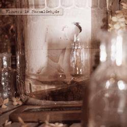 Sopor Aeternus And The Ensemble Of Shadows : Flowers in Formaldehyde